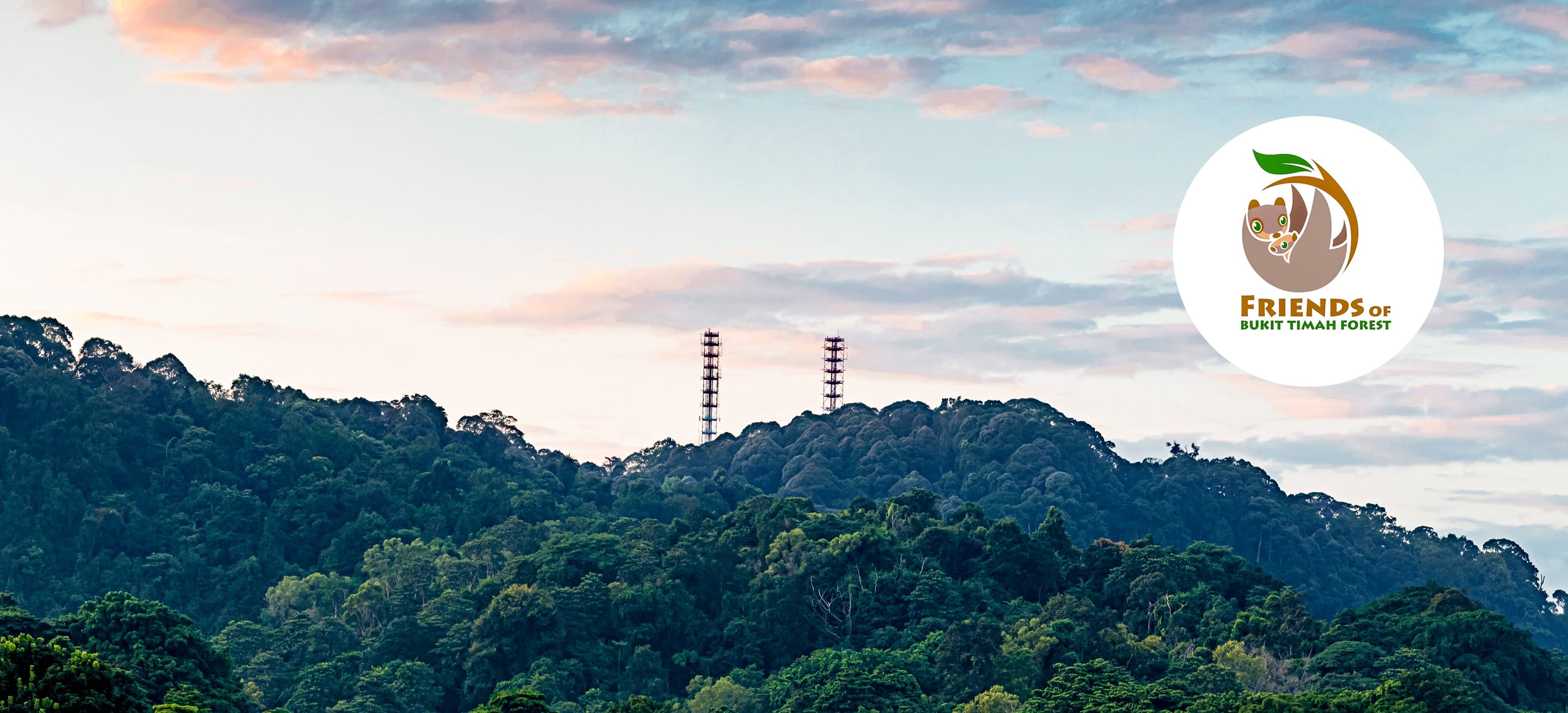 Lush green forest with two antenna towers under a sky with soft clouds; logo on the right reads "Friends of Bukit Timah Forest."